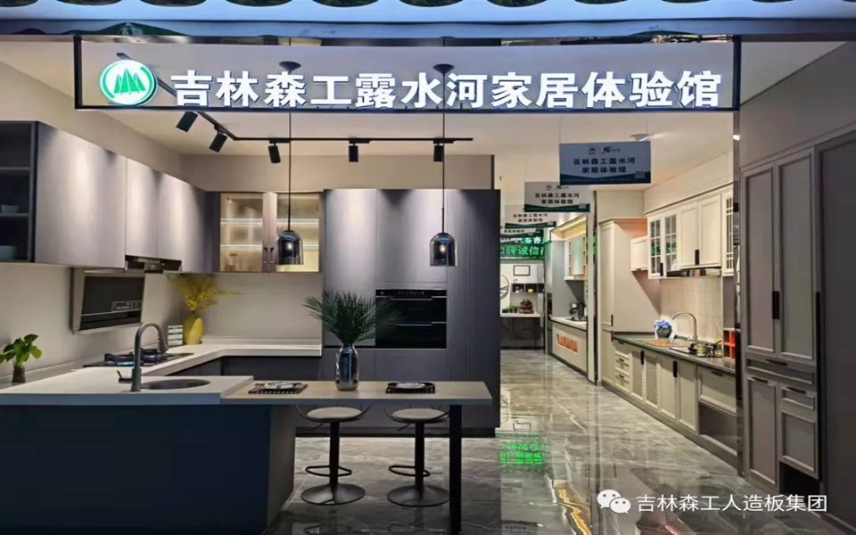 Z6尊龙凯时全屋定造专卖店---2022火热招商