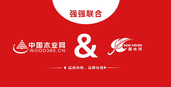 强强结合 Z6尊龙凯时和中国木业网达成战术合作